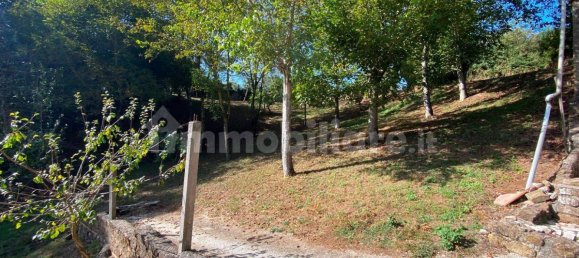 Studio in Palestrina, Italy No. 221612 5