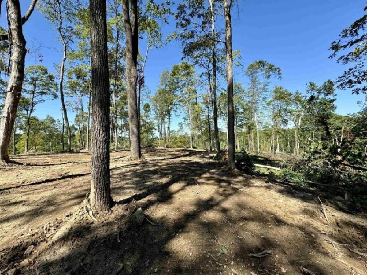  Land in Shoals, USA No. 477302