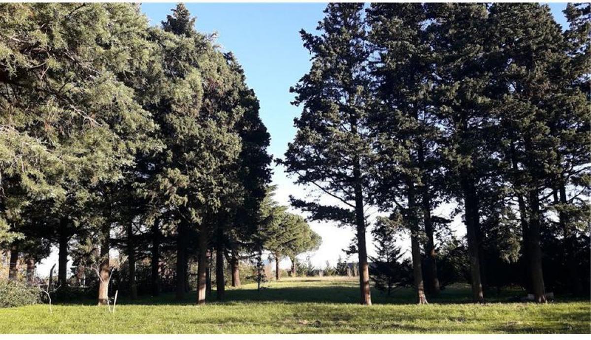 Grundstück in Tandil, Argentina, Nr. 31161