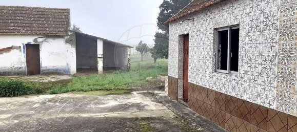 3 Schlafzimmer Haus in Alpiarca, Portugal, Nr. 187039 14