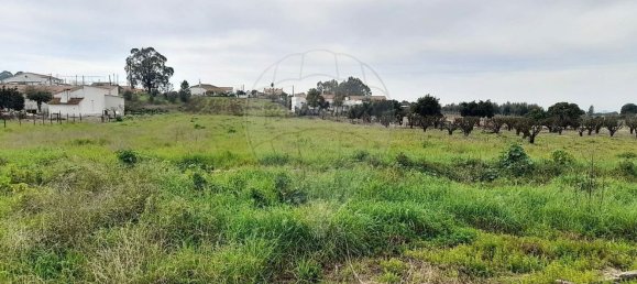 3 Schlafzimmer Haus in Alpiarca, Portugal, Nr. 187039 17