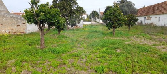 3 Schlafzimmer Haus in Alpiarca, Portugal, Nr. 187039 16