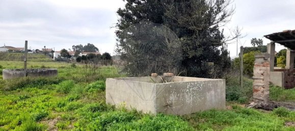 3 Schlafzimmer Haus in Alpiarca, Portugal, Nr. 187039 18
