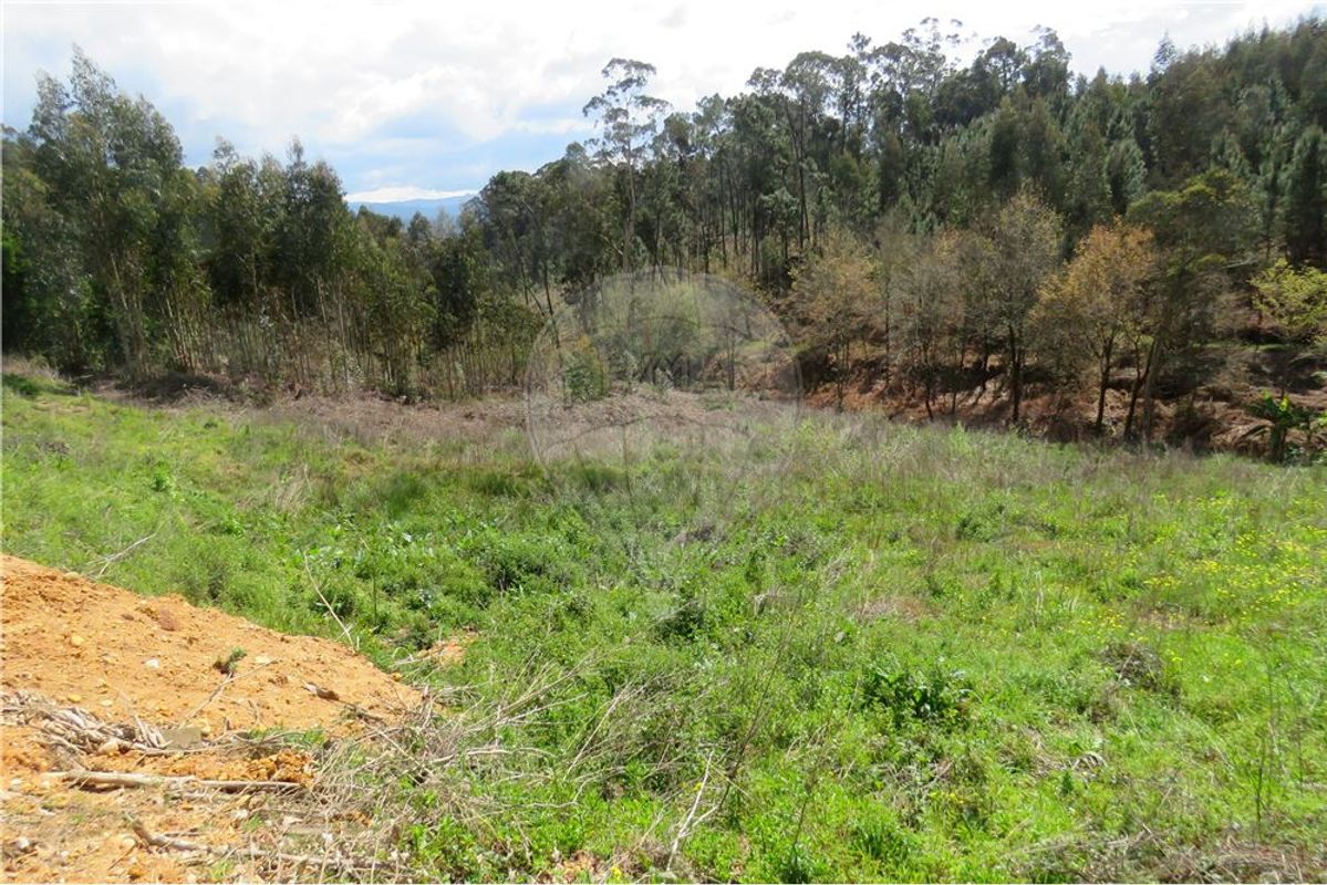 Terrain à Valongo do Vouga, Portugal 6629m² No. 73856