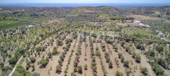 185000m² Land in Avola, Italy No. 143959 22