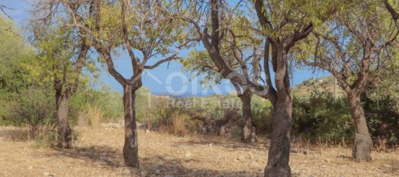 185000m² Land in Avola, Italy No. 143959 12