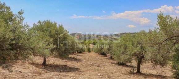 185000m² Land in Avola, Italy No. 143959 13