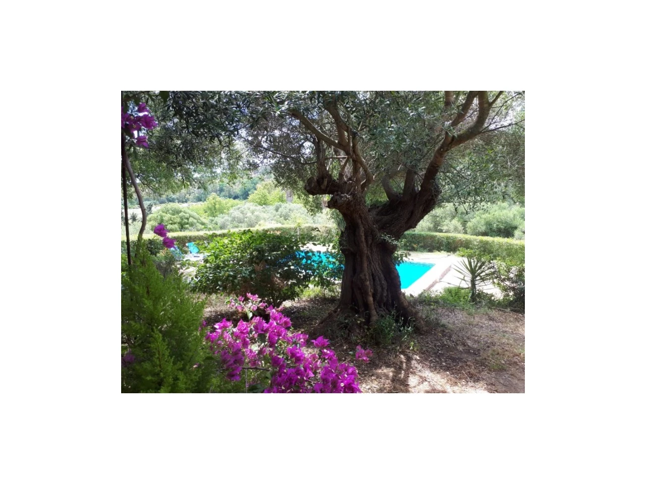 Casa de 3 dormitorios en San Martín del Tesorillo, Spain No. 98010