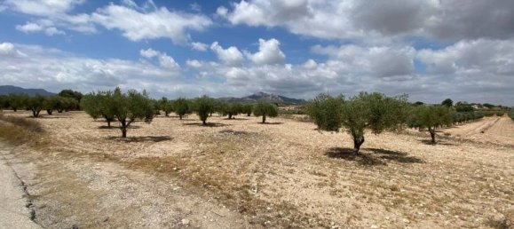 Вилла с 4 спальнями в Сакс, Испания № 188247 25