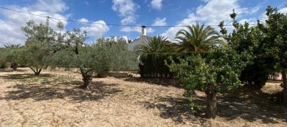 Вилла с 4 спальнями в Сакс, Испания № 188247 26