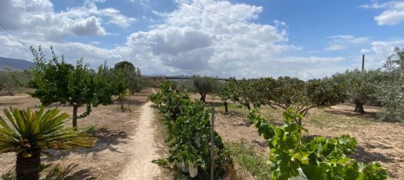 Вилла с 4 спальнями в Сакс, Испания № 188247 22