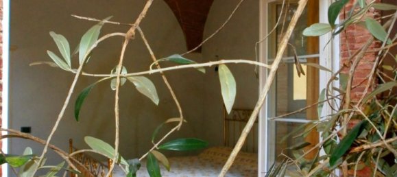 Villa de 10 habitaciónes en Chianni, Italy No. 87298 19