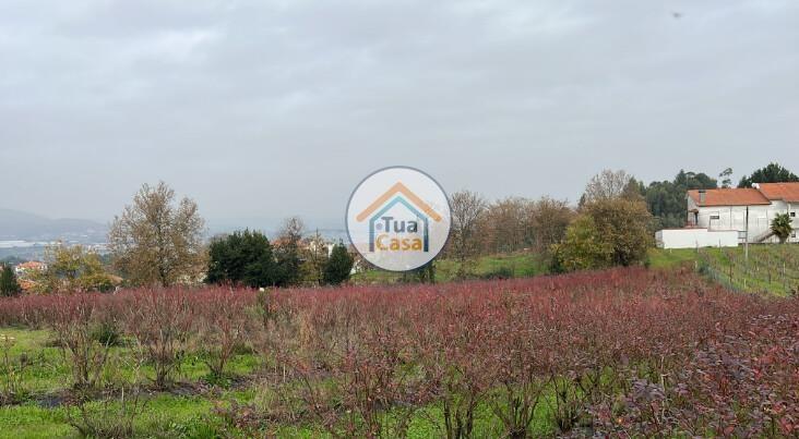 7281m² Land in Amarante, Portugal No. 259675