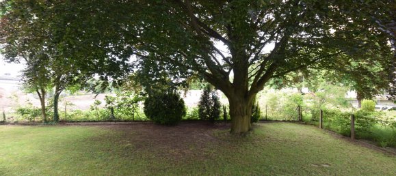 10 rooms House in Loosdorf, Austria No. 131511 3