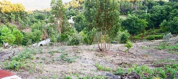 3 bedrooms House in Rio Douro, Portugal No. 36715 3