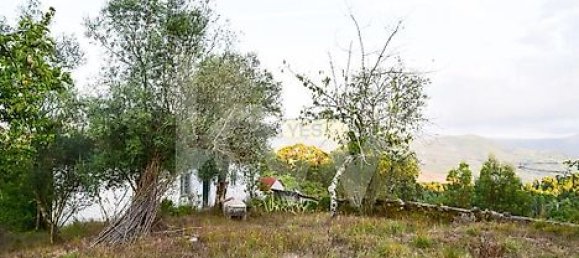 3 bedrooms House in Rio Douro, Portugal No. 36715 6