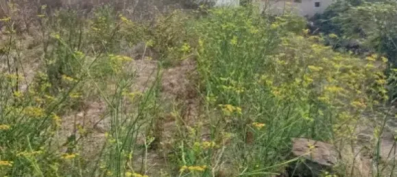 Terrain à San Cristobal de La Laguna, Spain No. 169533 2