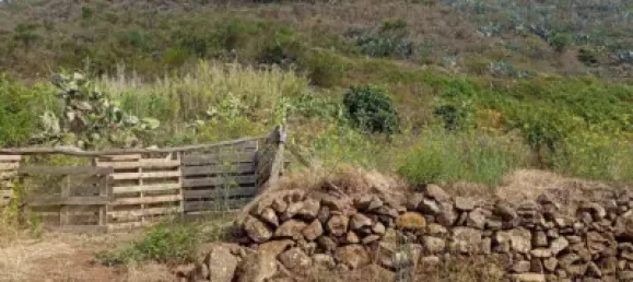 Terrain à San Cristobal de La Laguna, Spain No. 169533 9