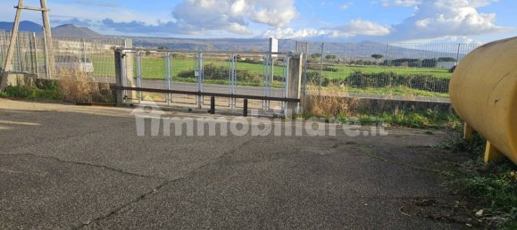 Almacén en Viterbo, Italy 800 m² No. 336516 2