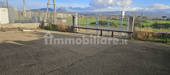 Almacén en Viterbo, Italy 800 m² No. 336516 3