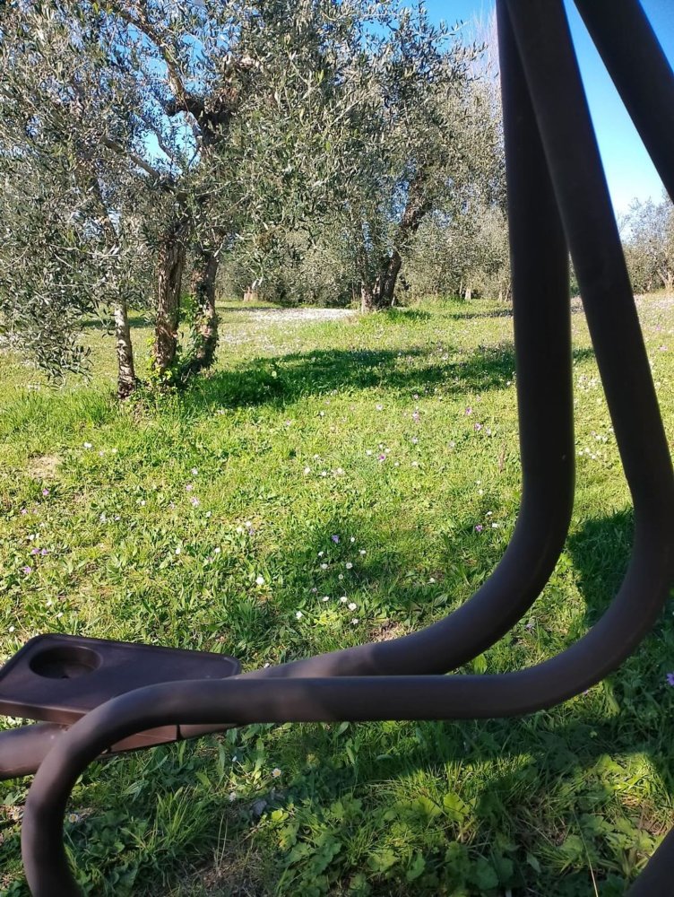 4000m² Land in Terricciola, Italy No. 49479