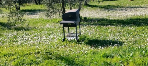 4000m² Land in Terricciola, Italy No. 49479 2