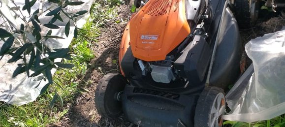 4000m² Land in Terricciola, Italy No. 49479 5