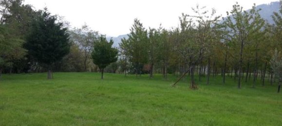 Grundstück in Sogliano al Rubicone, Italy 88000m², Nr. 253451 4