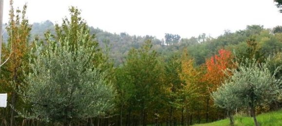 Grundstück in Sogliano al Rubicone, Italy 88000m², Nr. 253451 3