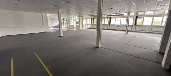 4320m² Warehouse in Uelzen, Germany No. 31444 24