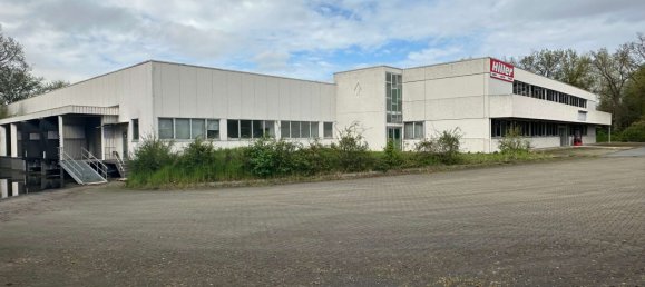 4320m² Warehouse in Uelzen, Germany No. 31444 18