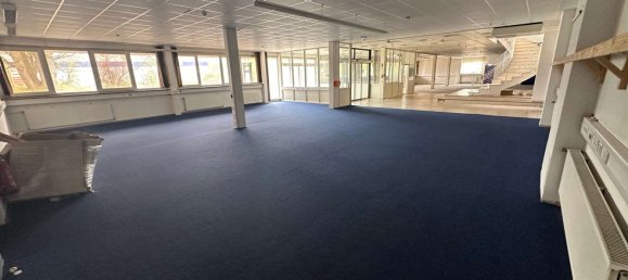 4320m² Warehouse in Uelzen, Germany No. 31444 21