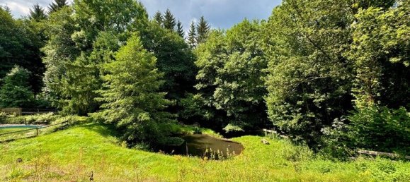 Casa de 8 dormitorios en Saint-Maurice-sur-Moselle, France No. 221731 26