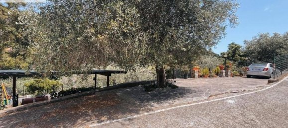 4غرفة منزل في San Bartolomeo al Mare, Italy رقم 36875 34