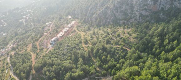 9767m² Land in Alanya, Turkey No. 21955 3