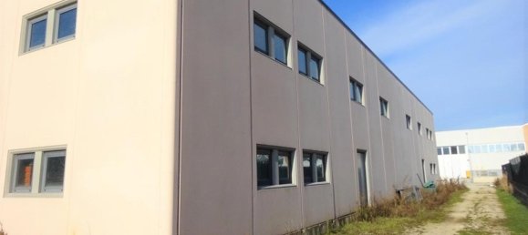 1 room Warehouse in Cannara, Italy No. 178021 13