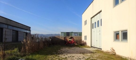1 room Warehouse in Cannara, Italy No. 178021 3