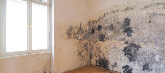 6-Zimmer Grundstück in Gösting, Austria, Nr. 137062 21