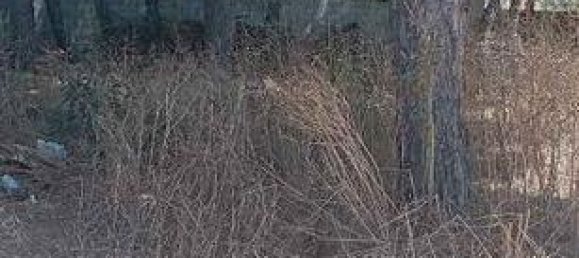 قطعة أرض في Cadiz, Spain 500متر مربع رقم 137172 4