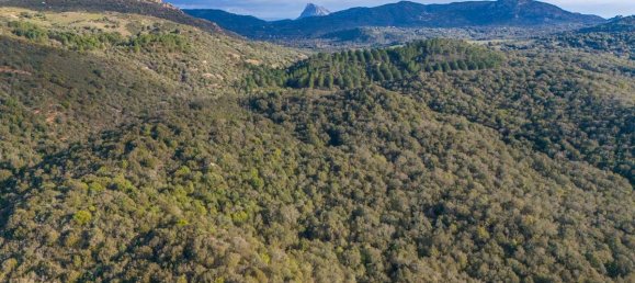 Terreno en San Teodoro, Italy 350000 m² No. 147384 20