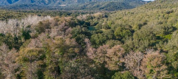 Terreno en San Teodoro, Italy 350000 m² No. 147384 16