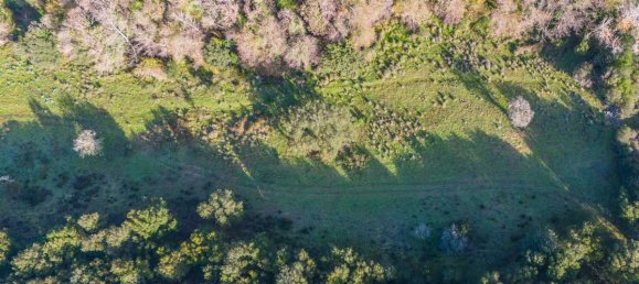 Terreno en San Teodoro, Italy 350000 m² No. 147384 11