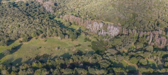 Terreno en San Teodoro, Italy 350000 m² No. 147384 18