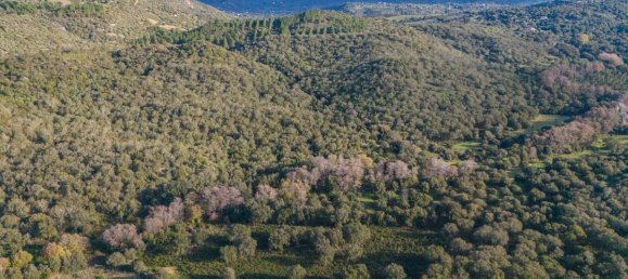 Terreno en San Teodoro, Italy 350000 m² No. 147384 17