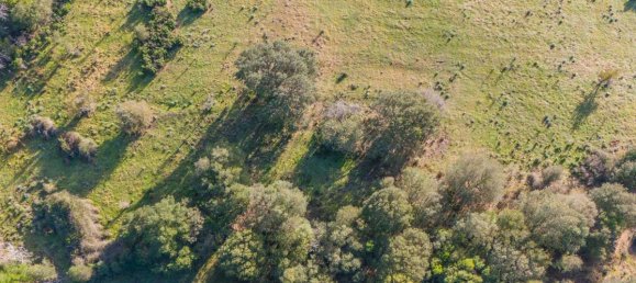 Terreno en San Teodoro, Italy 350000 m² No. 147384 10