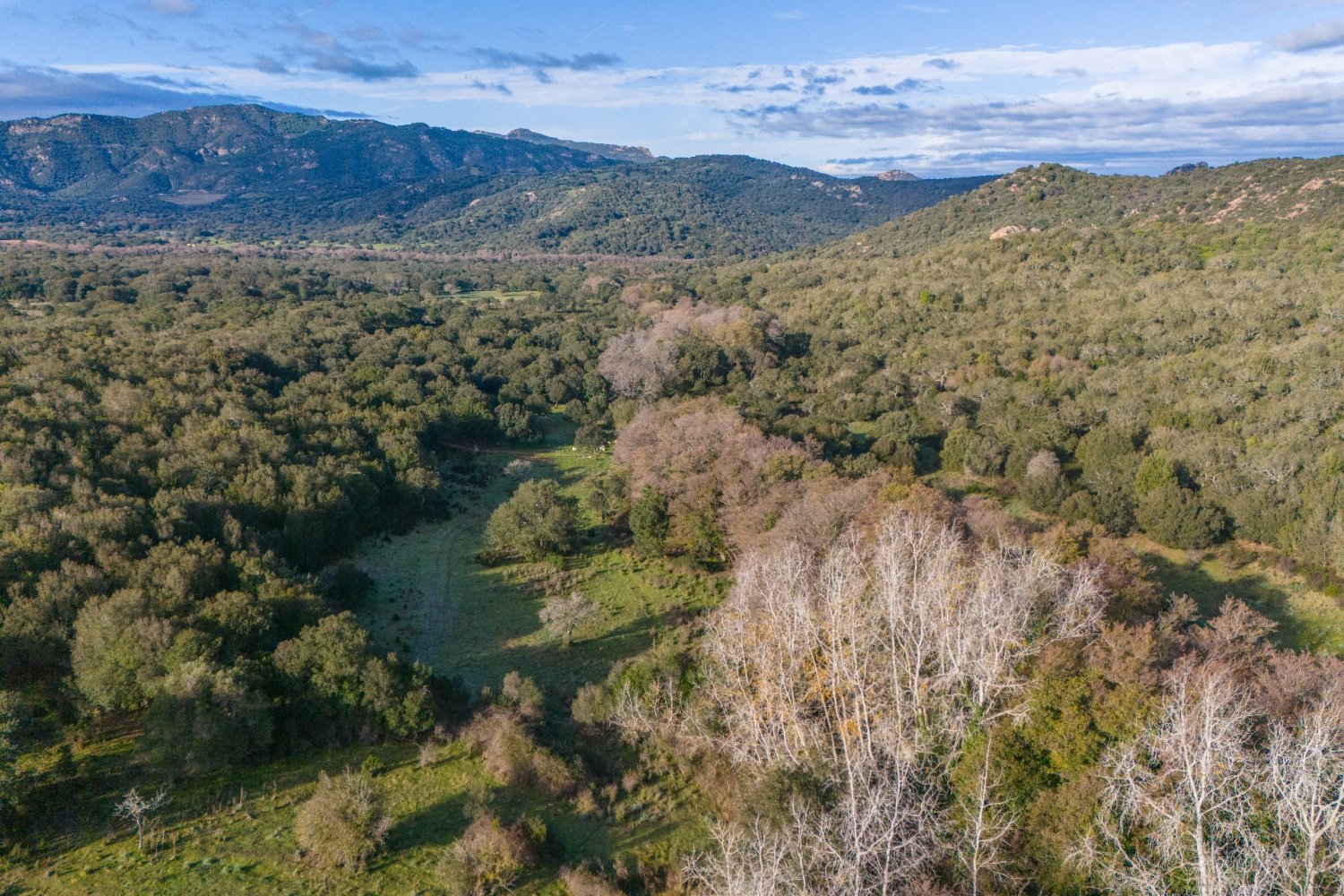 Terreno en San Teodoro, Italy 350000 m² No. 147384