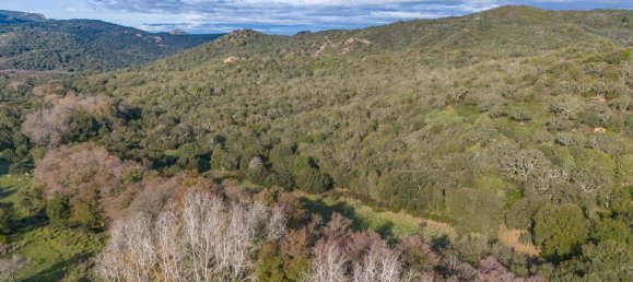 Terreno en San Teodoro, Italy 350000 m² No. 147384 7