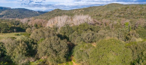 Terreno en San Teodoro, Italy 350000 m² No. 147384 6