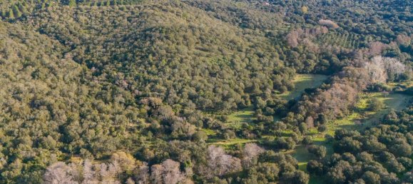 Terreno en San Teodoro, Italy 350000 m² No. 147384 2