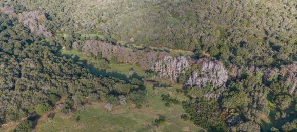 Terreno en San Teodoro, Italy 350000 m² No. 147384 13